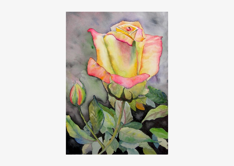 Maine Boats - Watercolor Paintings Of Yellow Roses, transparent png download