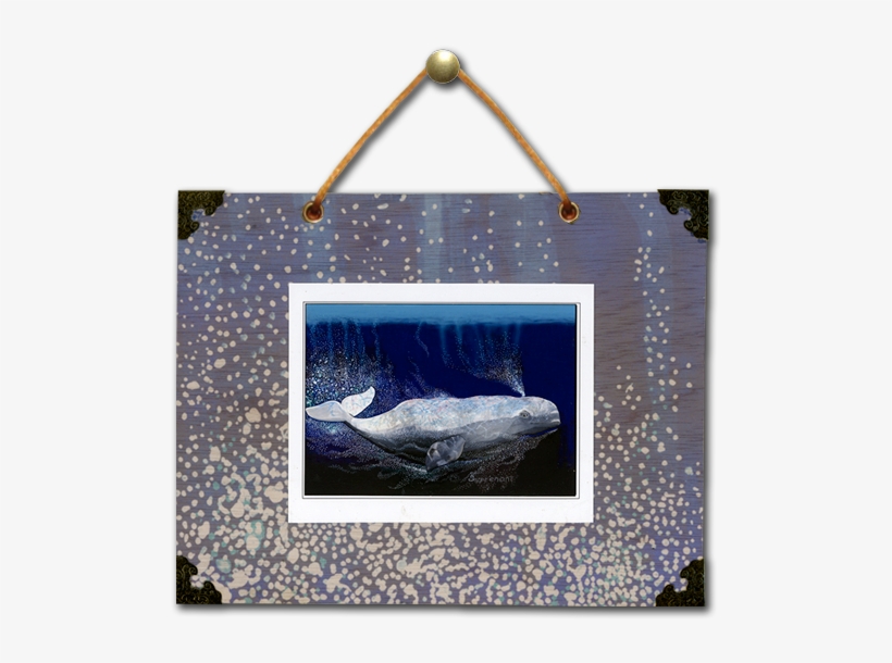 8 X 10\ - Picture Frame, transparent png download