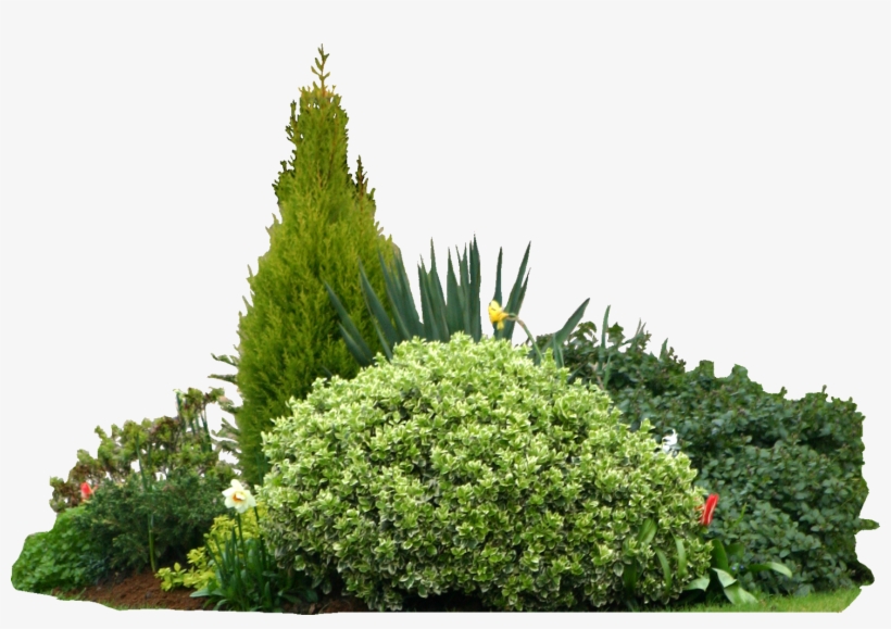 Shrub Png Download - Single Storey Bungalow Design, transparent png download