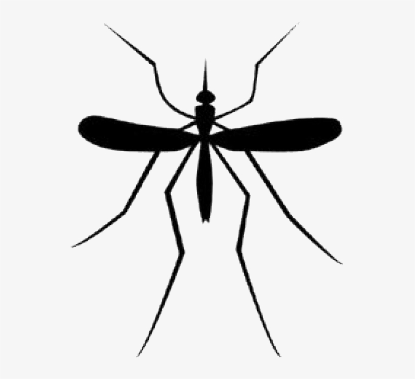 Mosquito Download Png - Mosquitos Logo, transparent png download
