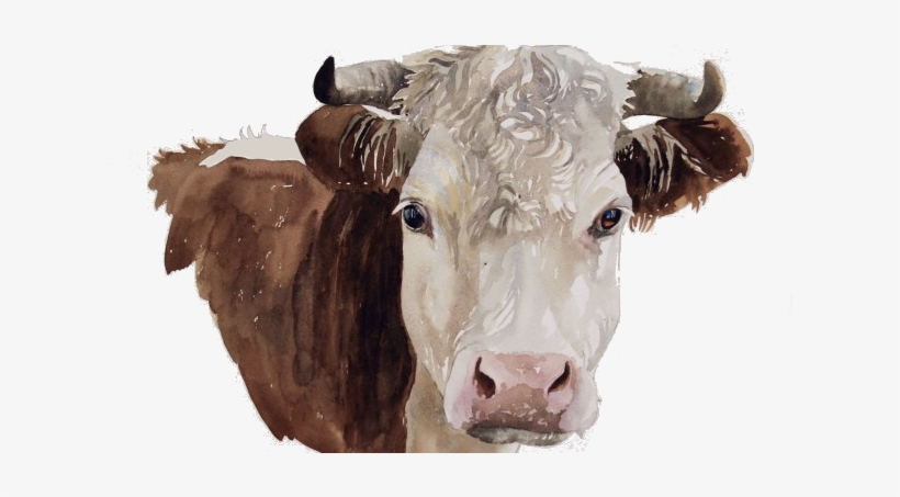 Logo U Baggrund - Cattle, transparent png download