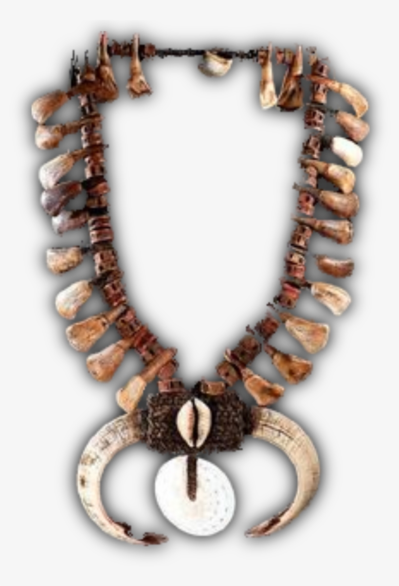 Reclamation Immunity Necklace - Necklace, transparent png download