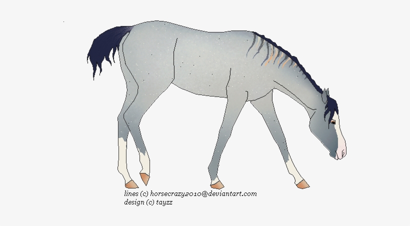 Her Colour Just Make It Like Water Colourerly - Stallion, transparent png download