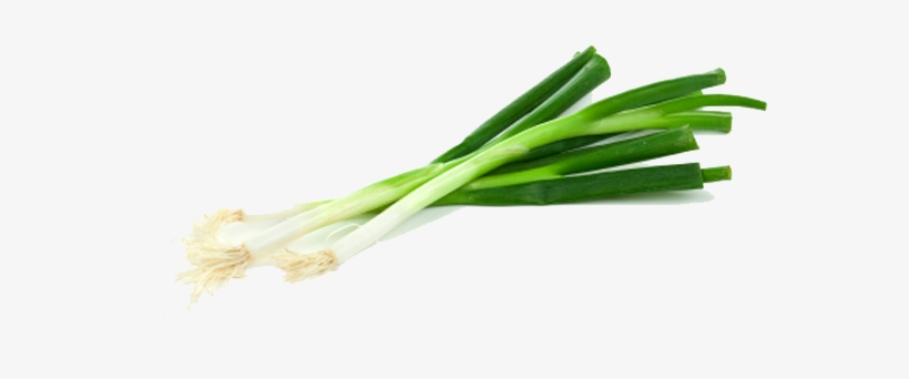Green Onion Transparent Png - Green Onion No Background, transparent png download
