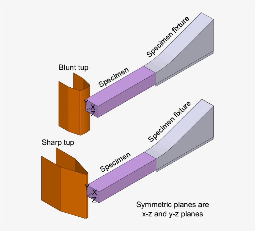 Typical Quarter Symmetric Model Of Bfcm Tests With - Diagram, transparent png download