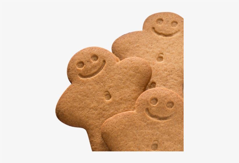 Home » Gingerbread - Gingerbread, transparent png download