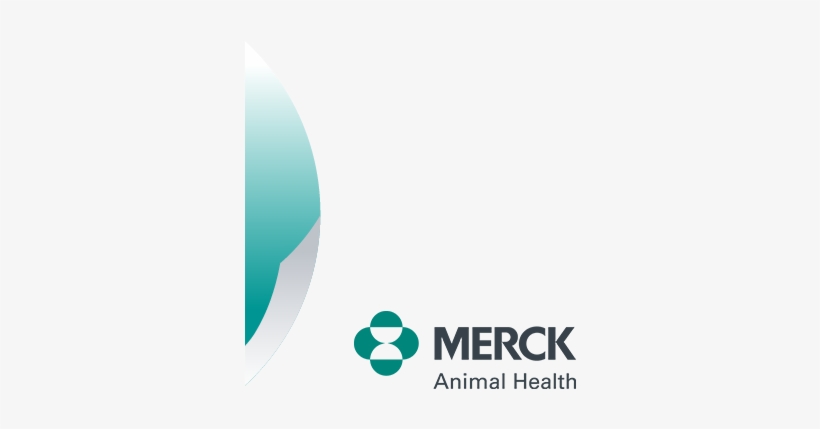 Privacy - Disclaimer - Msd Animal Health Logo, transparent png download