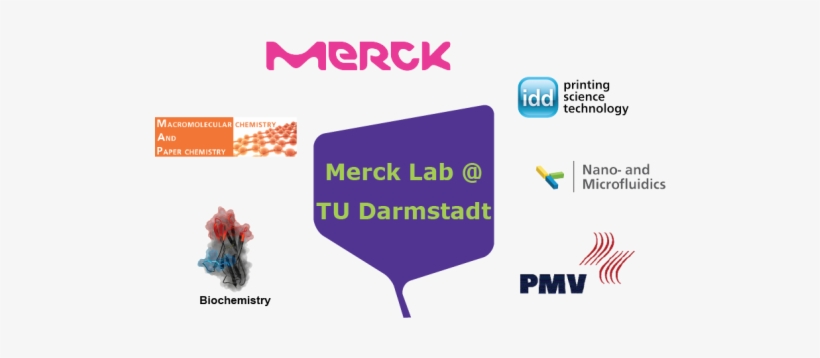 Merck Contributes Three Members Including Project Leader - Assistive Technology And Sports, transparent png download