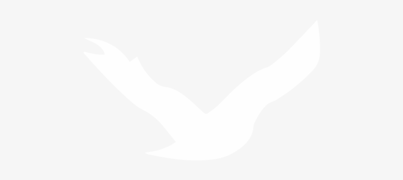 Forest And Farmland Center Vt - Forest, transparent png download