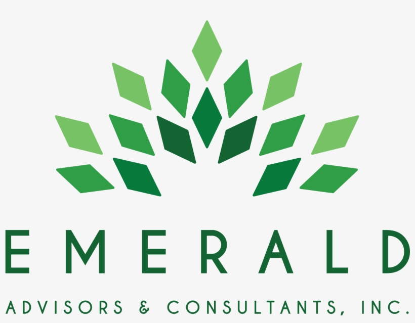 Green Seal > About Green Seal > P, Nerships - Emerald Green Logo, transparent png download
