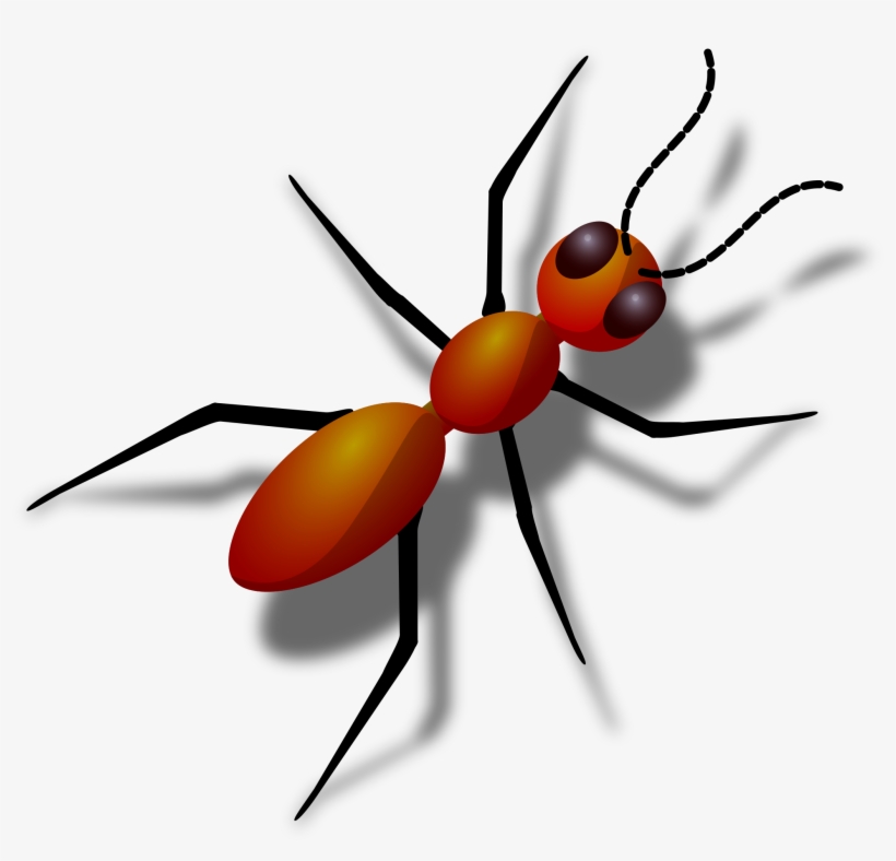 Vector Royalty Free Ant Big Image Png - Ant Png, transparent png download
