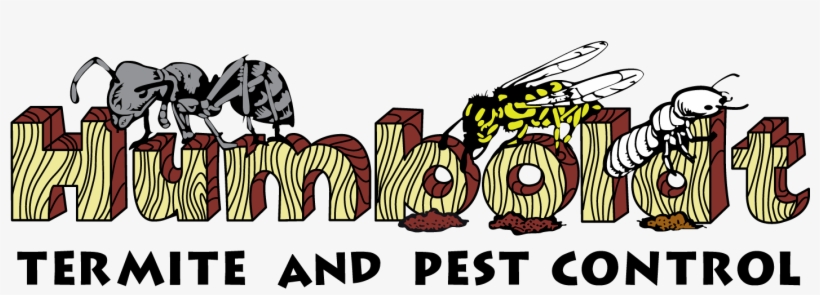 Main Menu - Illustration, transparent png download