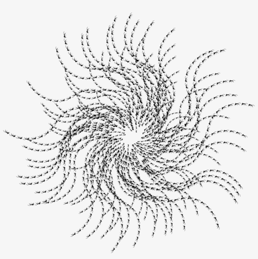 This Free Icons Png Design Of Ants Corona, transparent png download