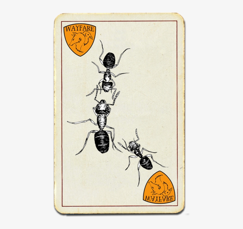 Velvety Tree Ants - Ant, transparent png download