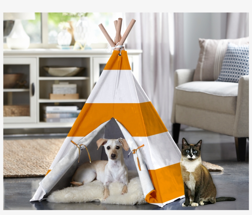 Orange And White, transparent png download