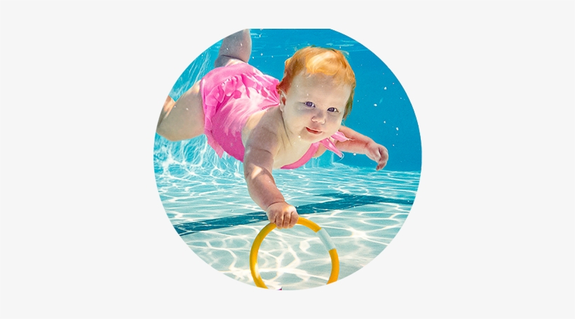Sealswim Billboard - Seal Swim School, transparent png download