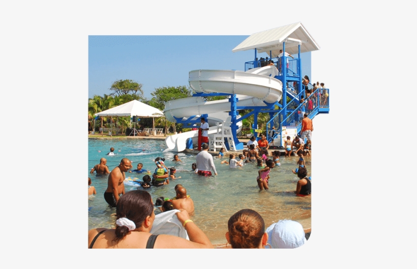 Turtle Adventure Tour - Grand Cayman Turtle Centre, transparent png download