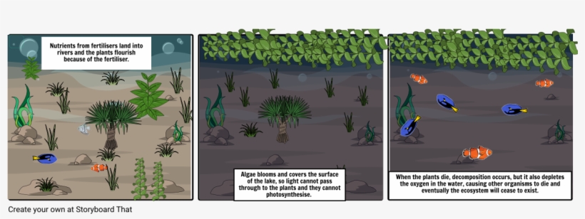 Andre Anusha Jamie Xiumin Story Board - Attalea Speciosa, transparent png download