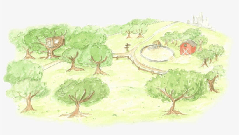 What Do You See When You Really Look At The Books On - Visual Arts, transparent png download