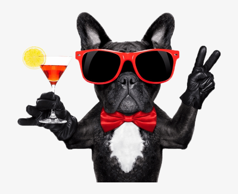Ultimate Happy Hour - French Bulldog Party, transparent png download
