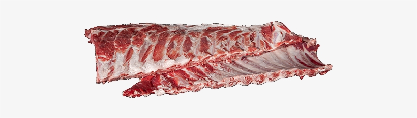 Iberian Ribs - Umbrella, transparent png download