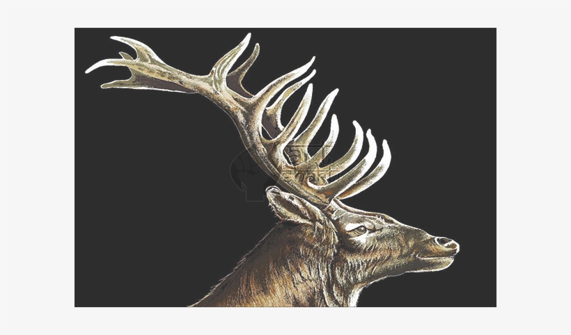 Elk Graphics Painting Black Background - Elk, transparent png download