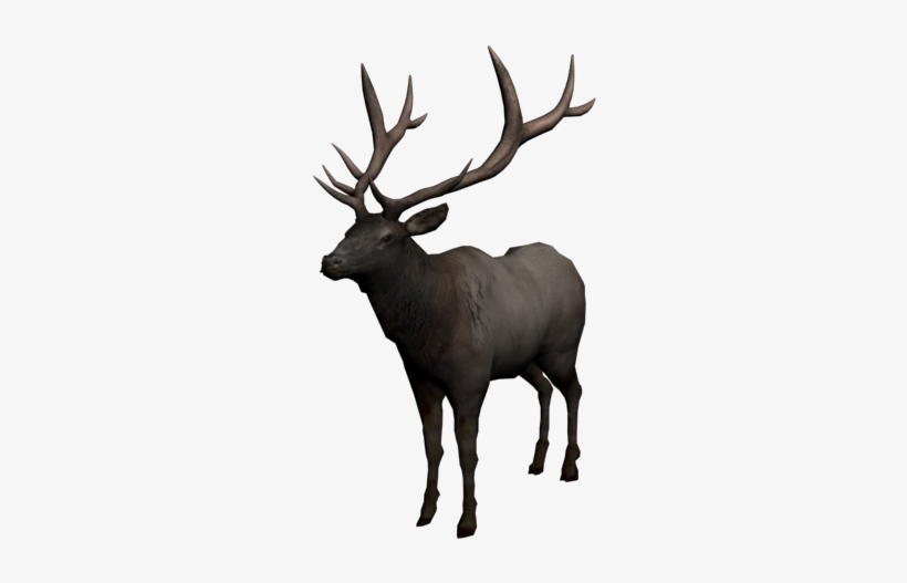 Uatapi - Dead Elk, transparent png download