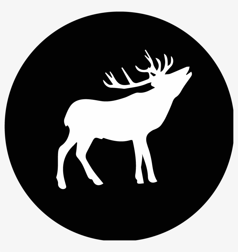 Wild Things Roam - Twitter Icons Black And White, transparent png download