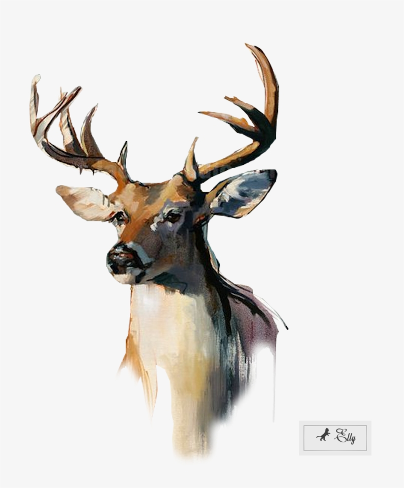 Yak - Download, transparent png download