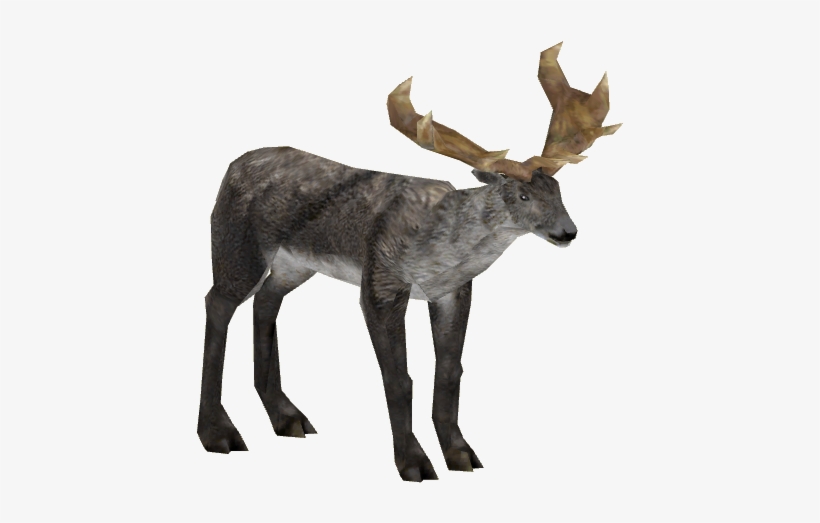 Irish Elk 1 Adult M3 - Wiki, transparent png download