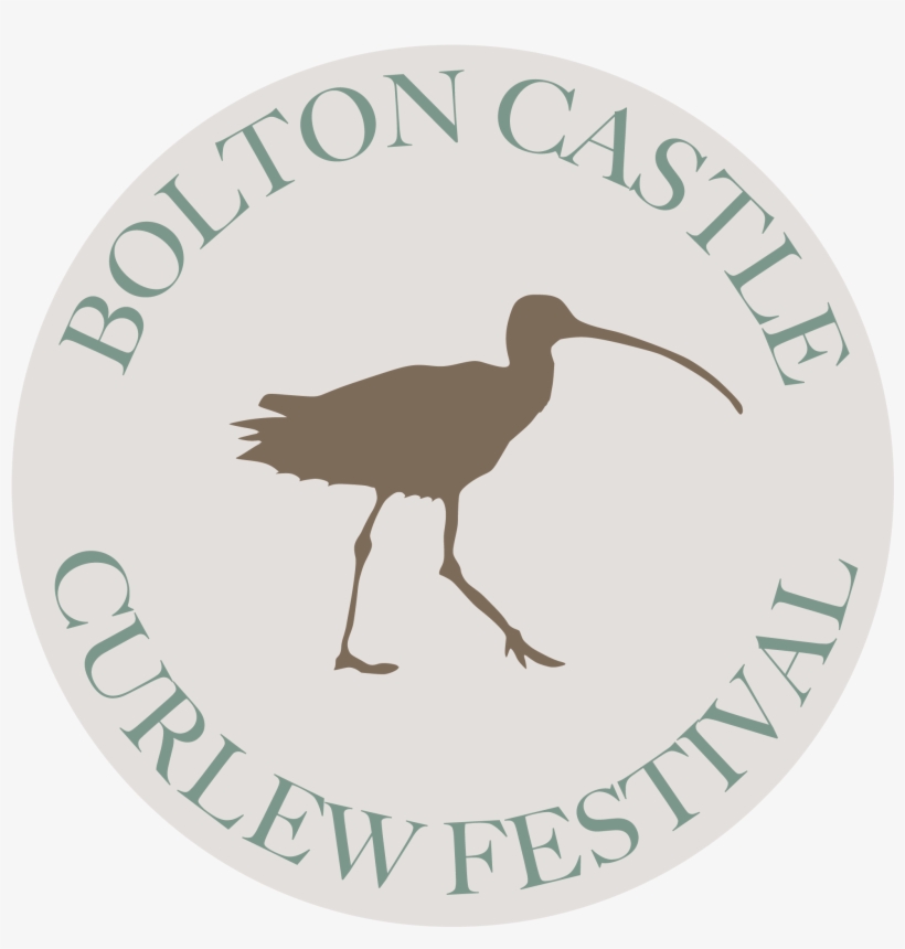 Festival, transparent png download