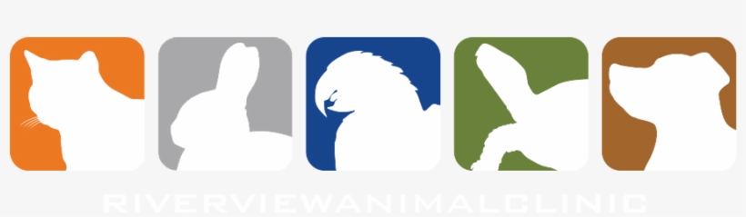 Riverview Animal Clinic, transparent png download