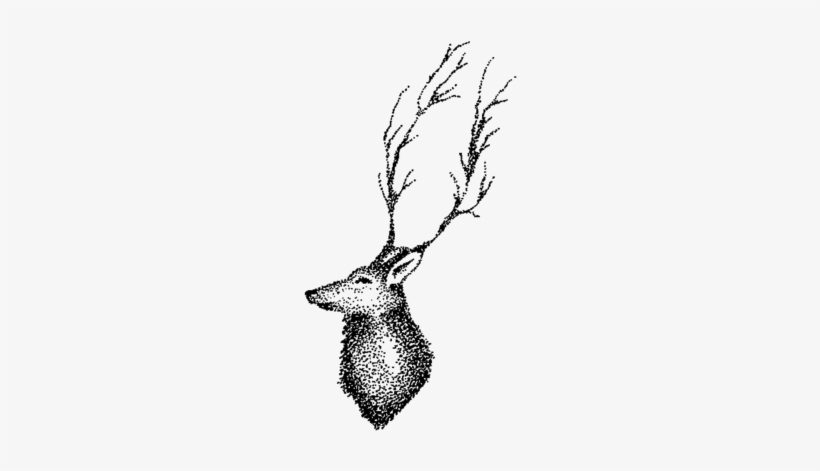 Deer - Sketch, transparent png download