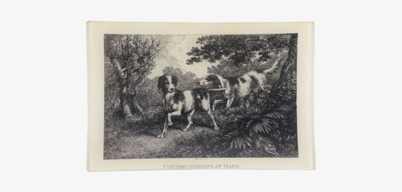 Pointers Pointers - Picture Frame, transparent png download