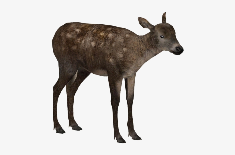 Irish Elk Young - Wiki, transparent png download
