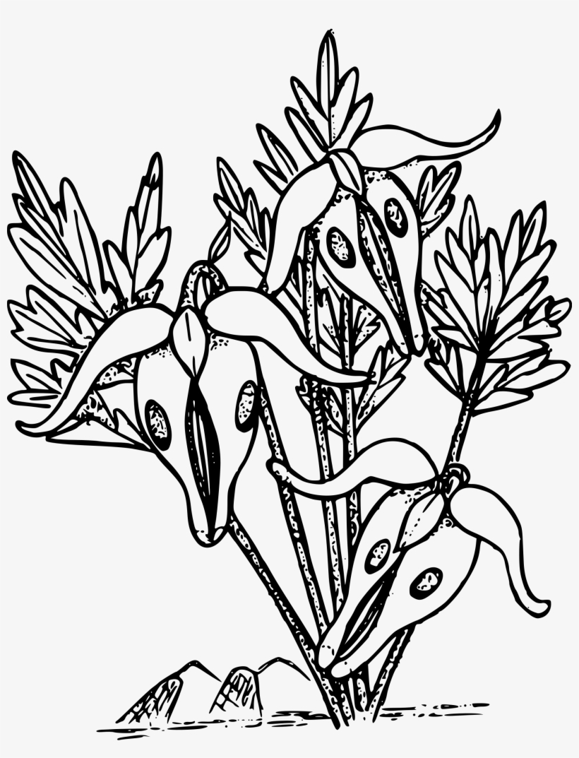 This Free Icons Png Design Of Steer's Head Bleeding, transparent png download