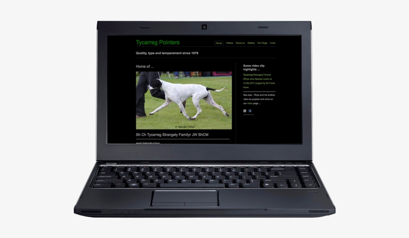 Links Will Open In A New Window - Dell Vostro V131 - Core I3 2.3 Ghz - 13.3″ - 4 Gb Ram, transparent png download