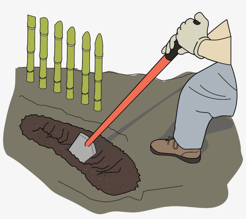 Dig Trench With Shovel A Small Trench Is Dug In Which - Shovel Trench Digging, transparent png download