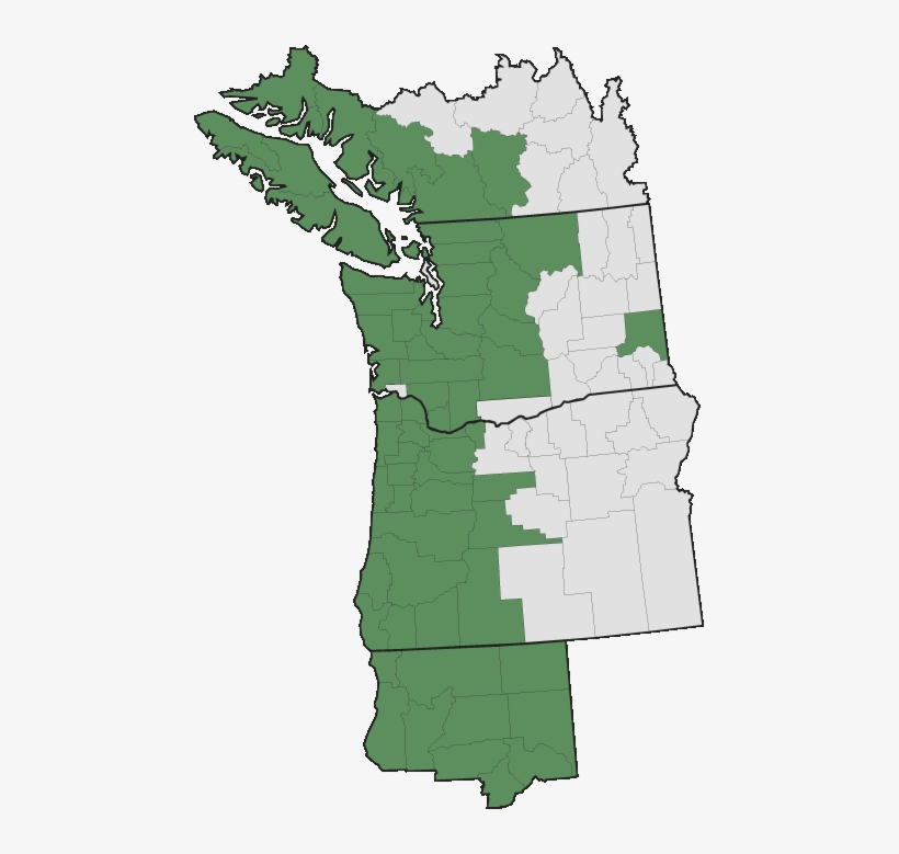 More Information - - Pacific Northwest English, transparent png download