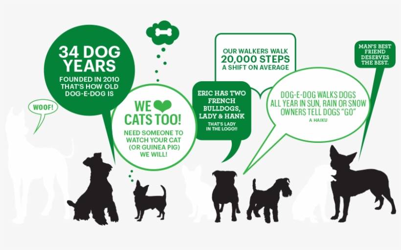 Dogedog Facts - Portable Network Graphics, transparent png download