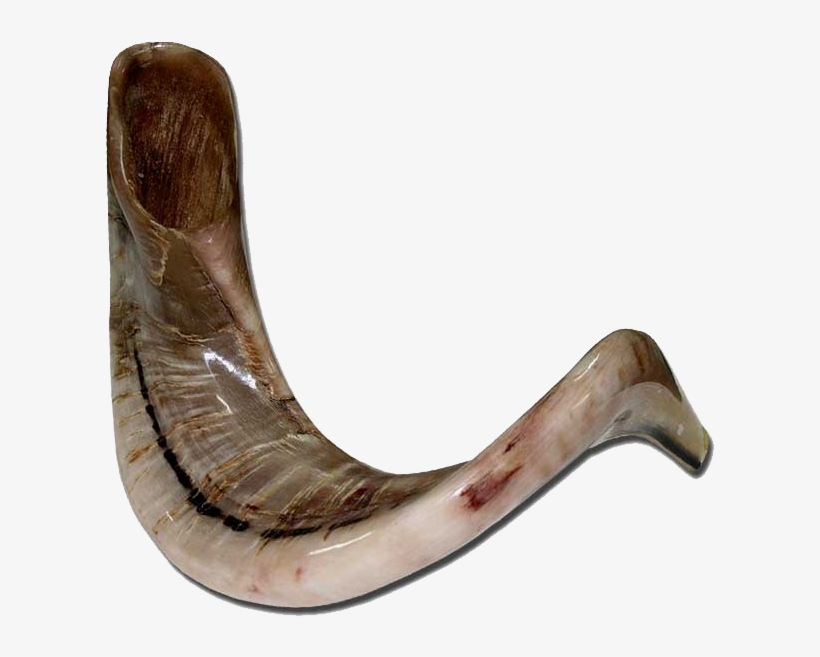Png Gold Icon Shofar Horn - Shofar Transparent, transparent png download