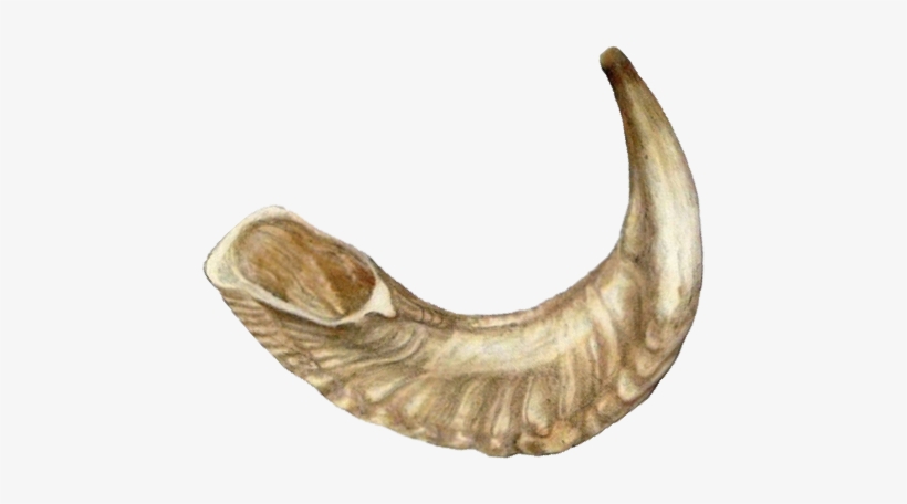 Shofar Png, transparent png download