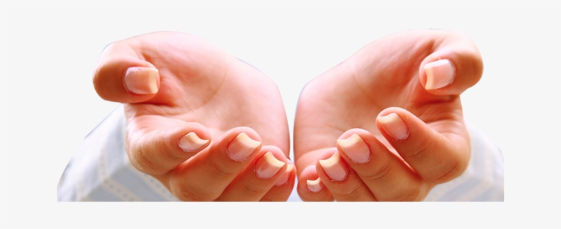 Kontakt, transparent png download