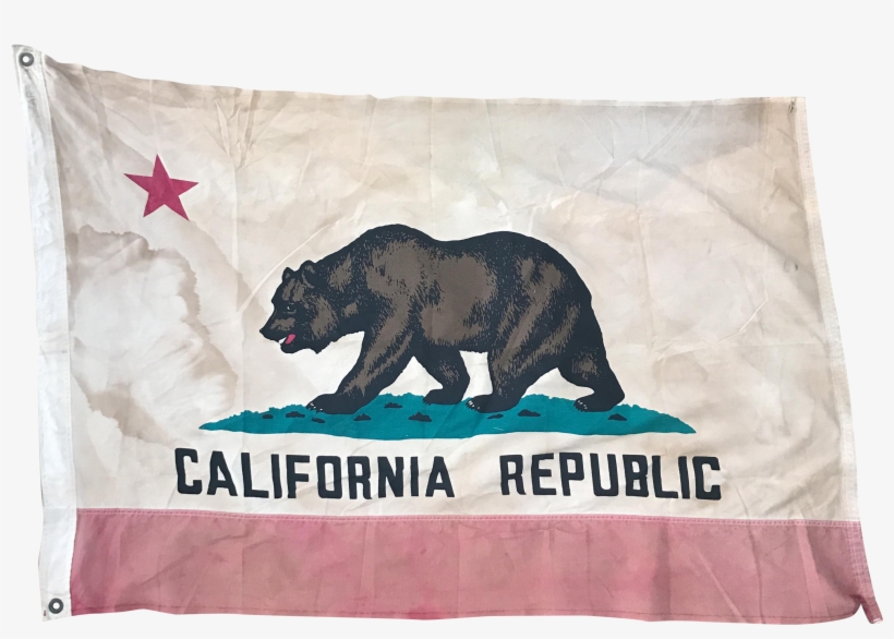 Vintage Distressed California Republic Flag - Us Flag Store California 4ft X 6ft Spectrapro Flag, transparent png download