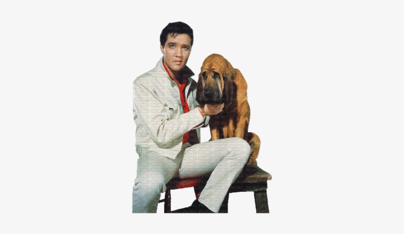 Kaz Creations Elvis Presley King Of Rock N Roll Music - Elvis Presley Dog Kissin Cousins Birthday Card, transparent png download