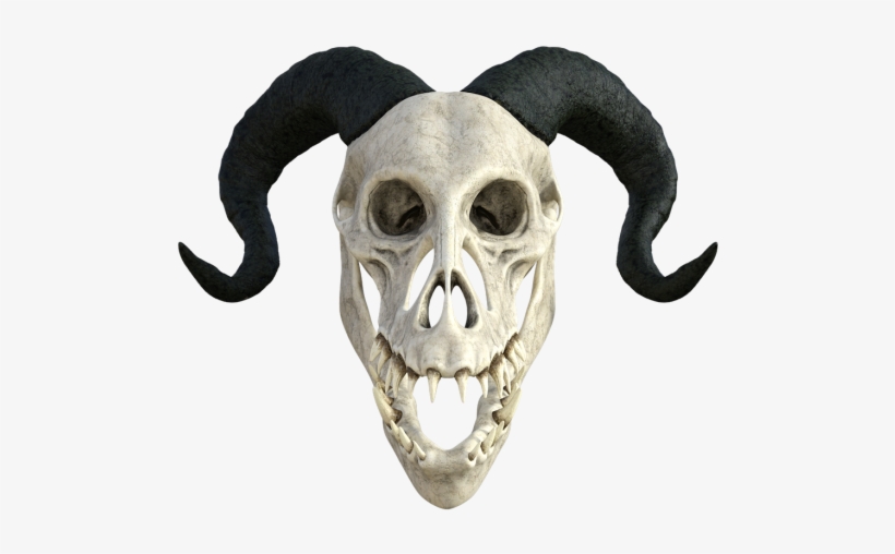 And Crossbones,bone, - Skull, transparent png download