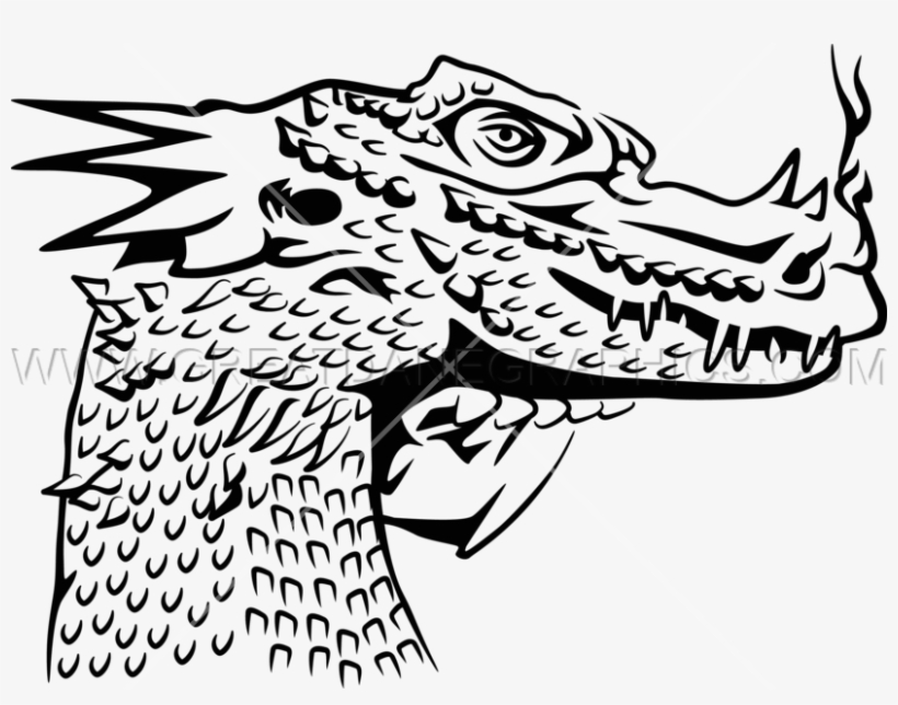 Dragon Head - Illustration, transparent png download