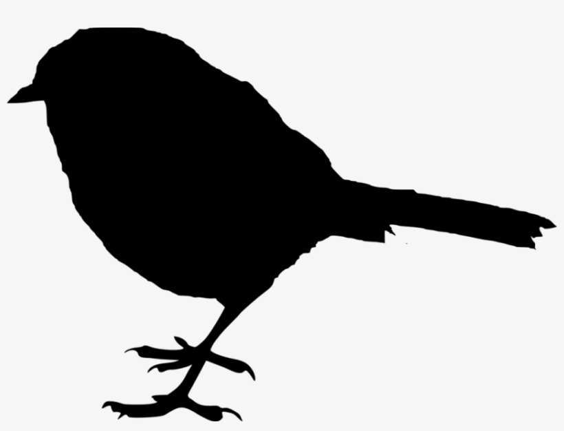 Free Png Bird Silhouette Png Images Transparent - Portable Network Graphics, transparent png download