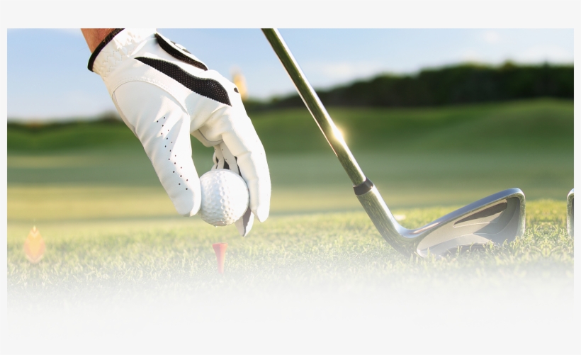 Bg-sports - Golf Tee, transparent png download