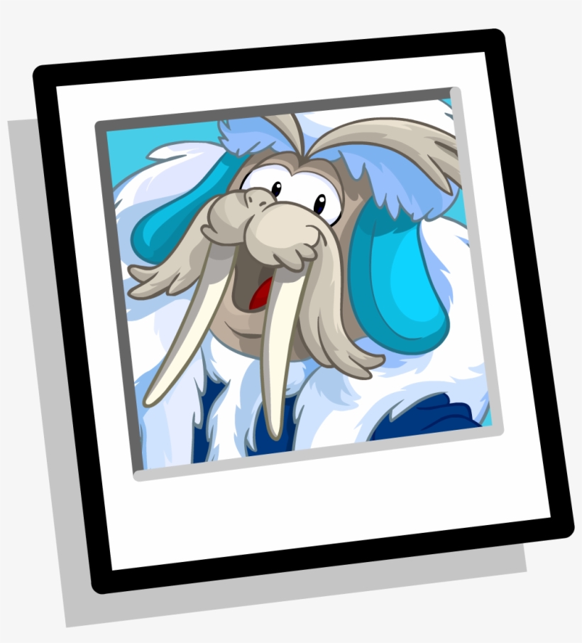 M Walrus Bgicon 2014 - Portable Network Graphics, transparent png download